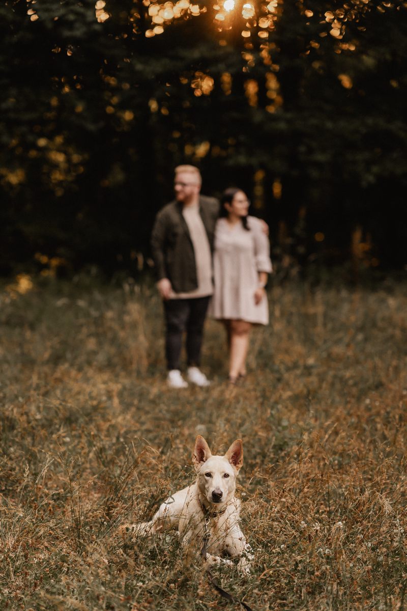 Pärchen-Shooting Janina